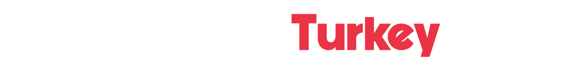 Investment in Turkey